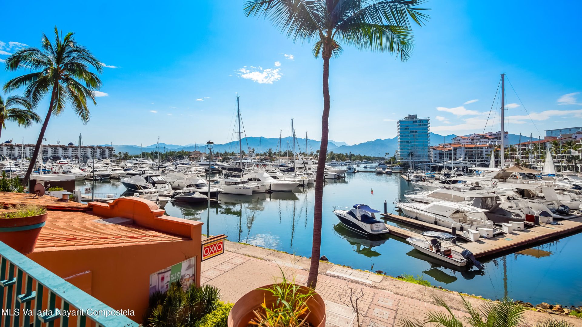 20241012013618357517000000-o