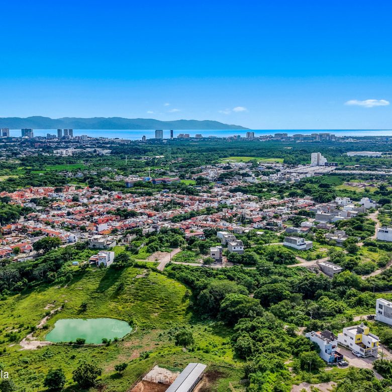 780