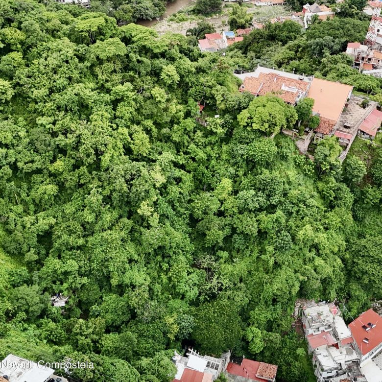 780