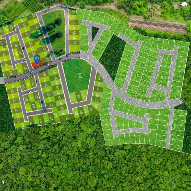 780