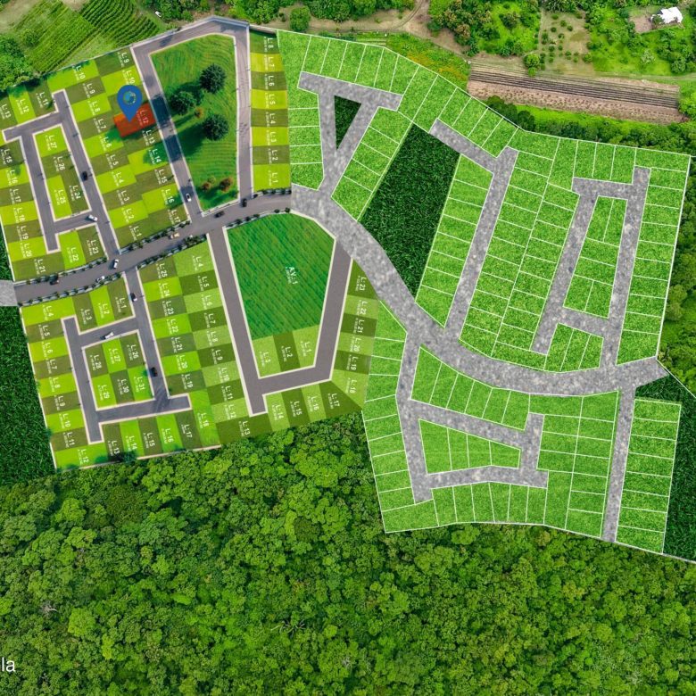 780