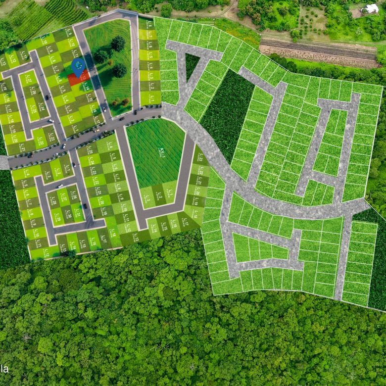 780