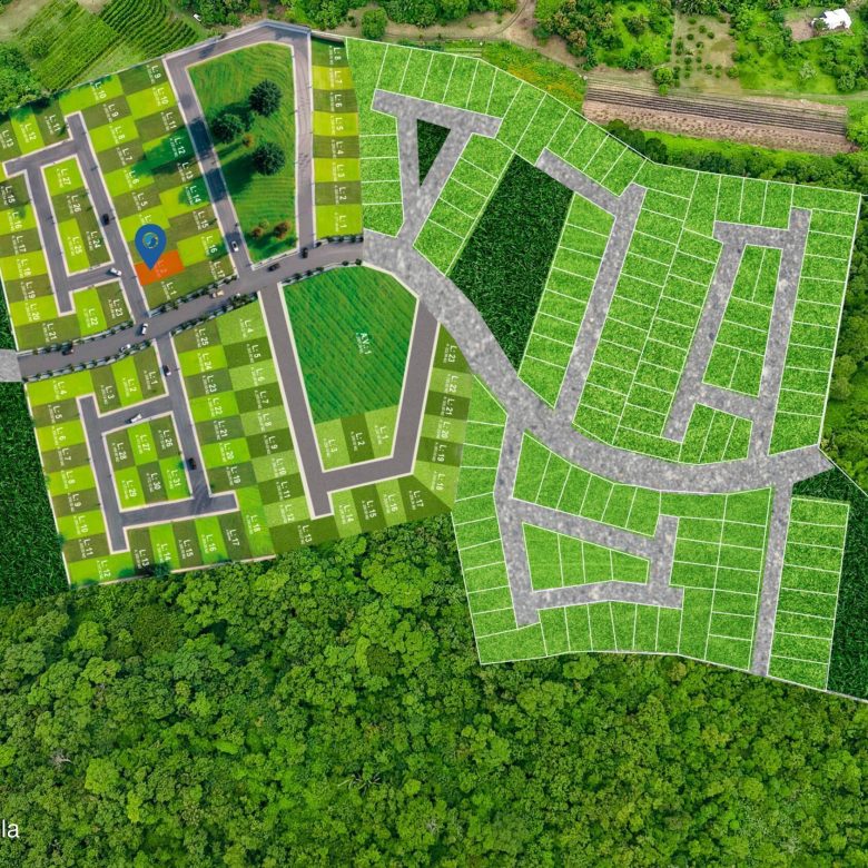 780
