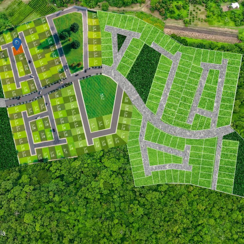 780