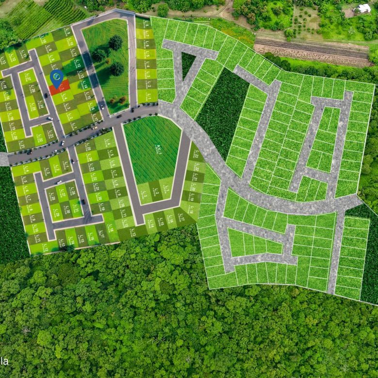 780