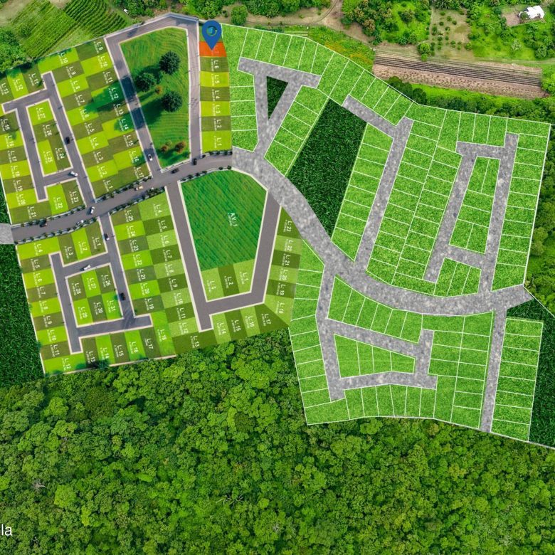 780