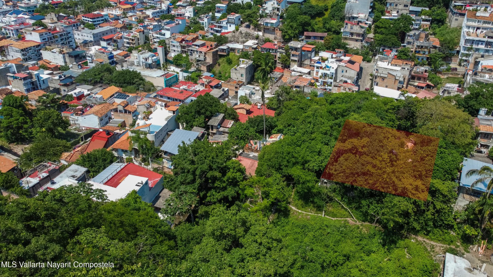DCIM100MEDIADJI_0522.JPG