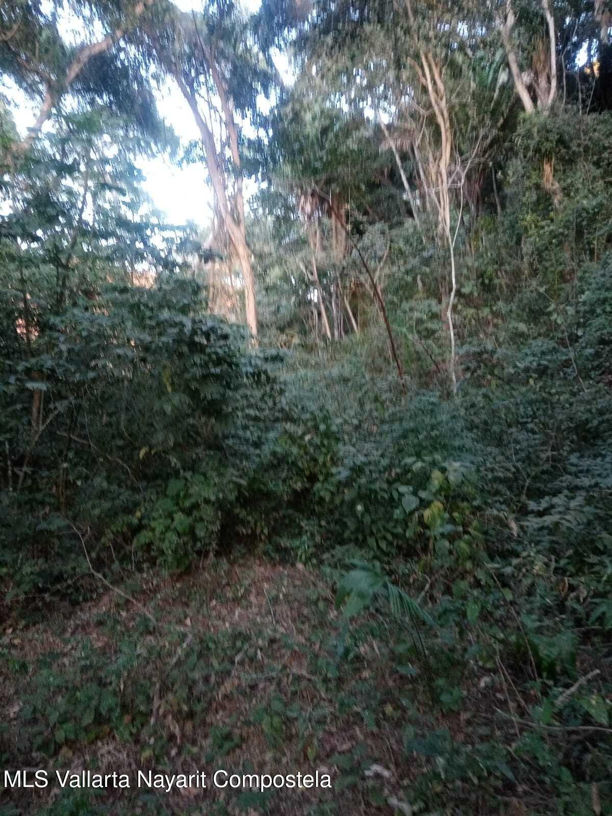 20260113160145522261000000-o