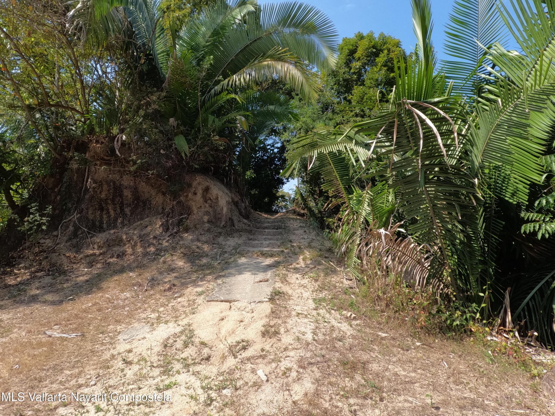 DCIM100GOPROGOPR0455.JPG