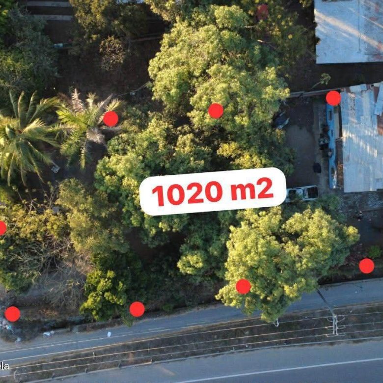 780