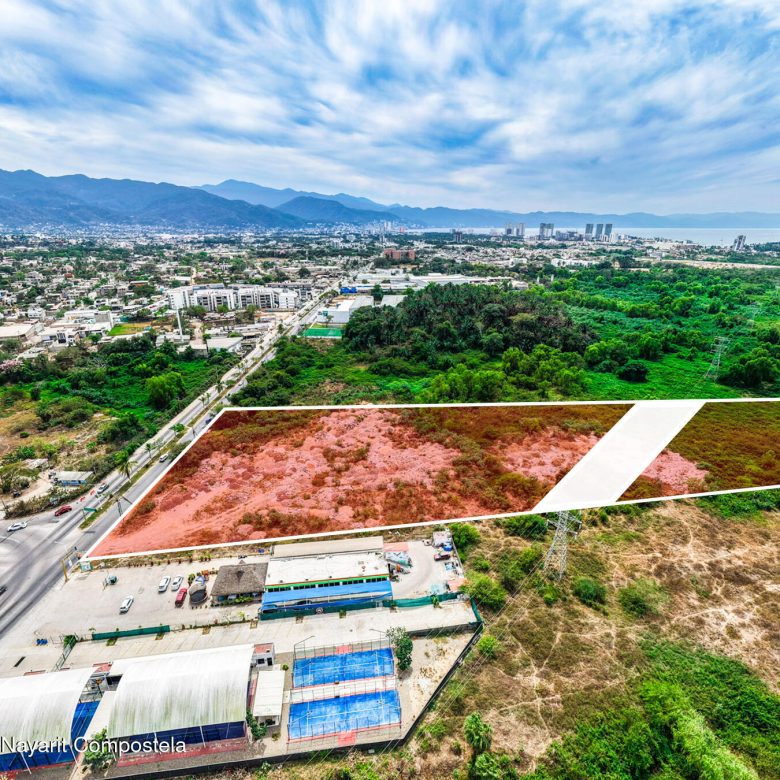 780