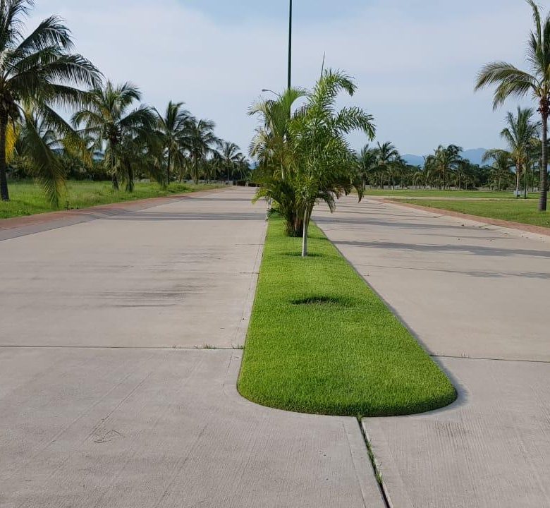 780