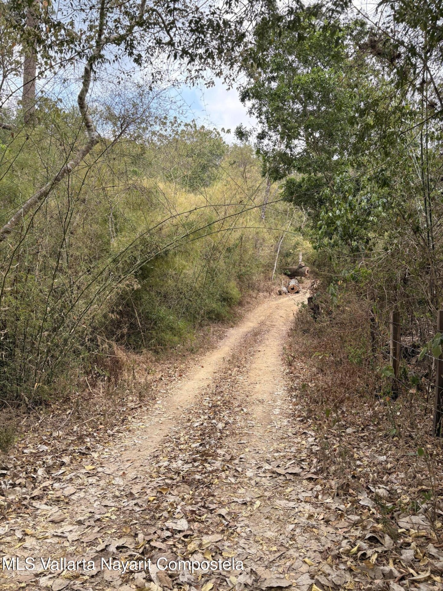 20260521023759671957000000-o