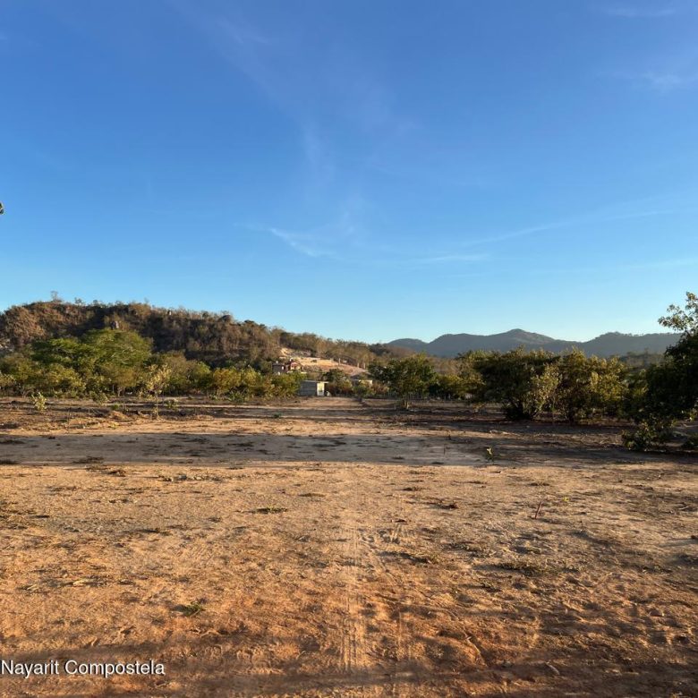 780
