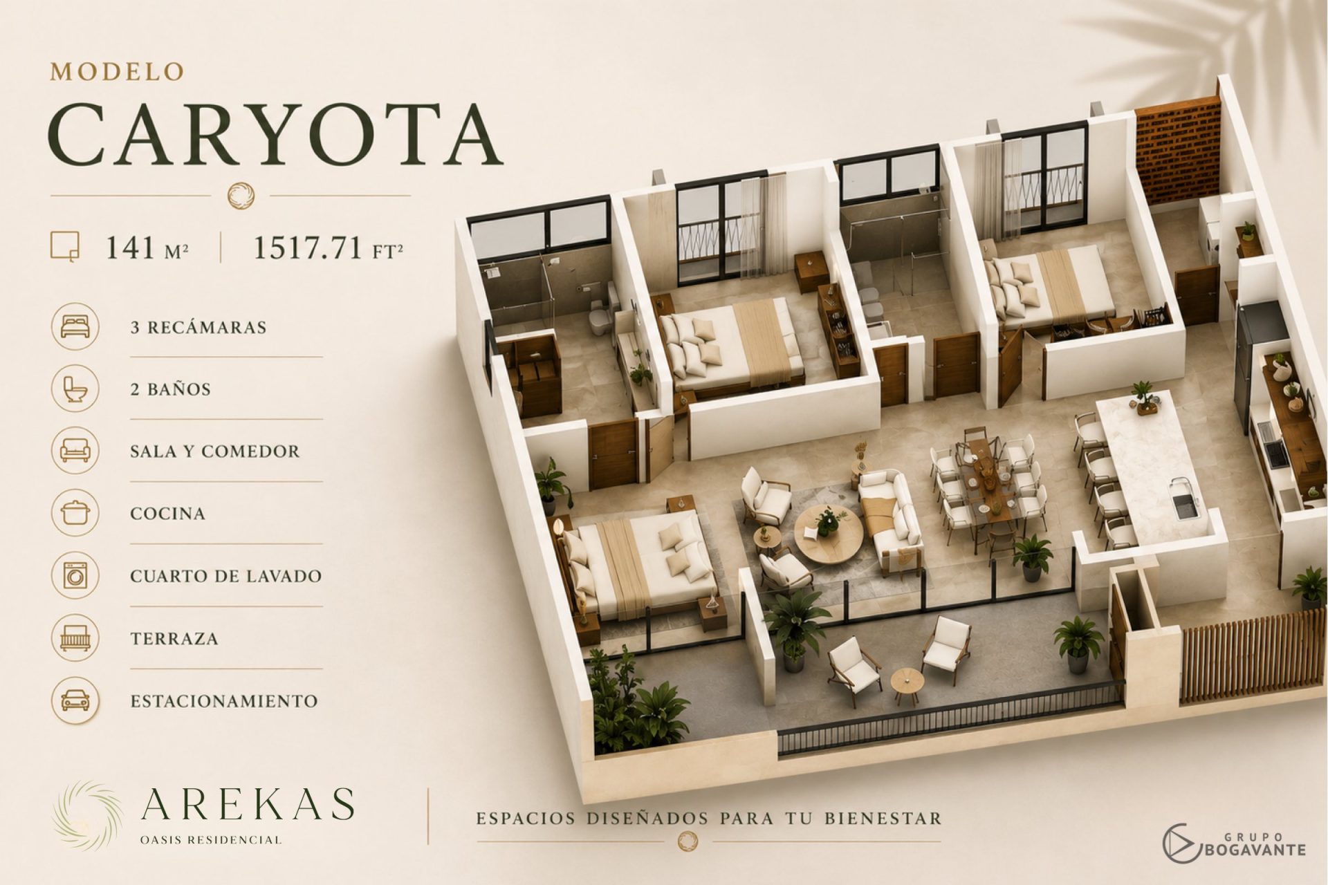 Plano modelo Caryota