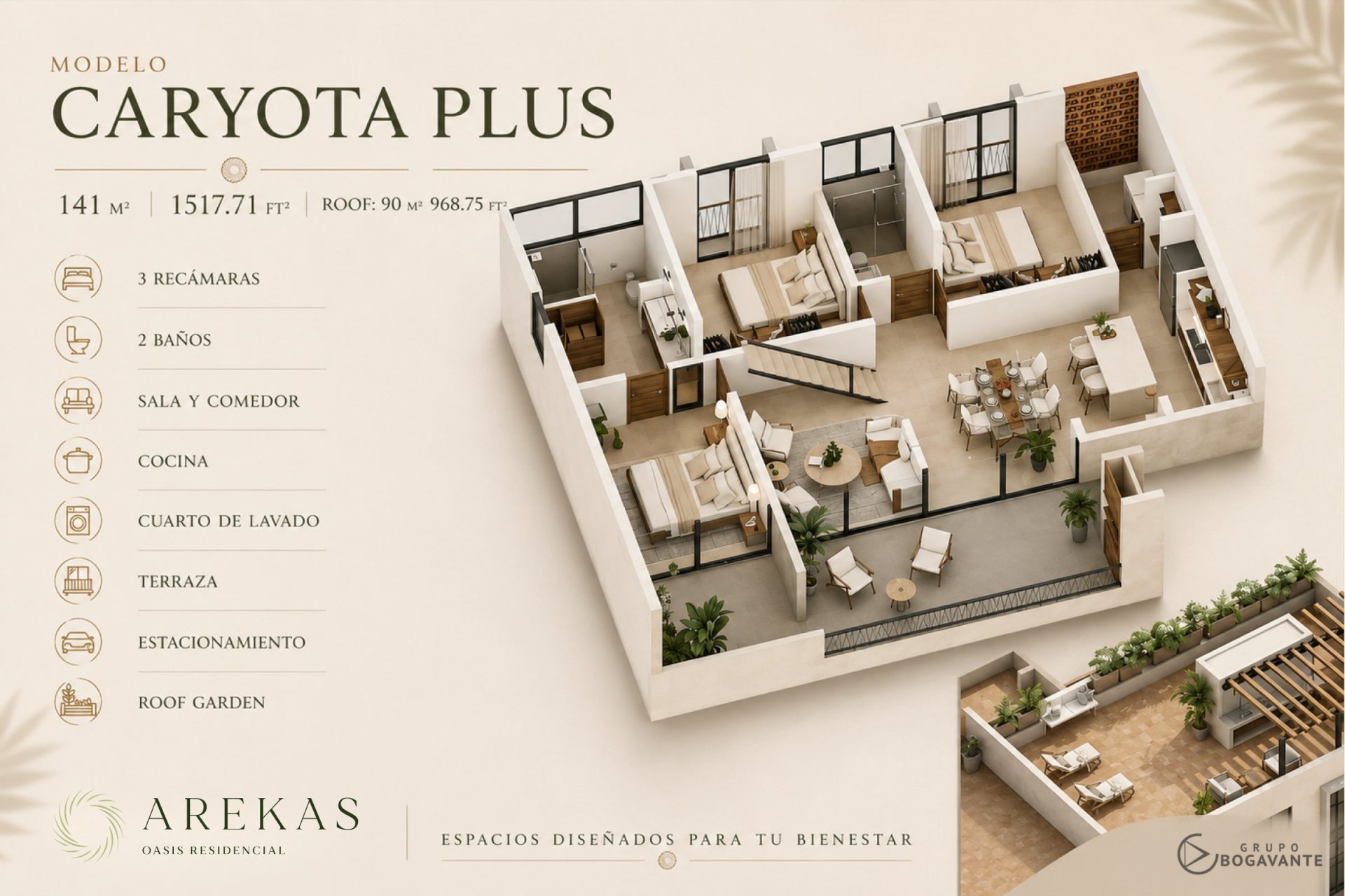Plano modelo Caryota Plus