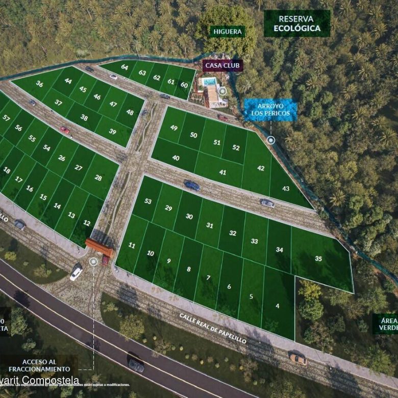 780