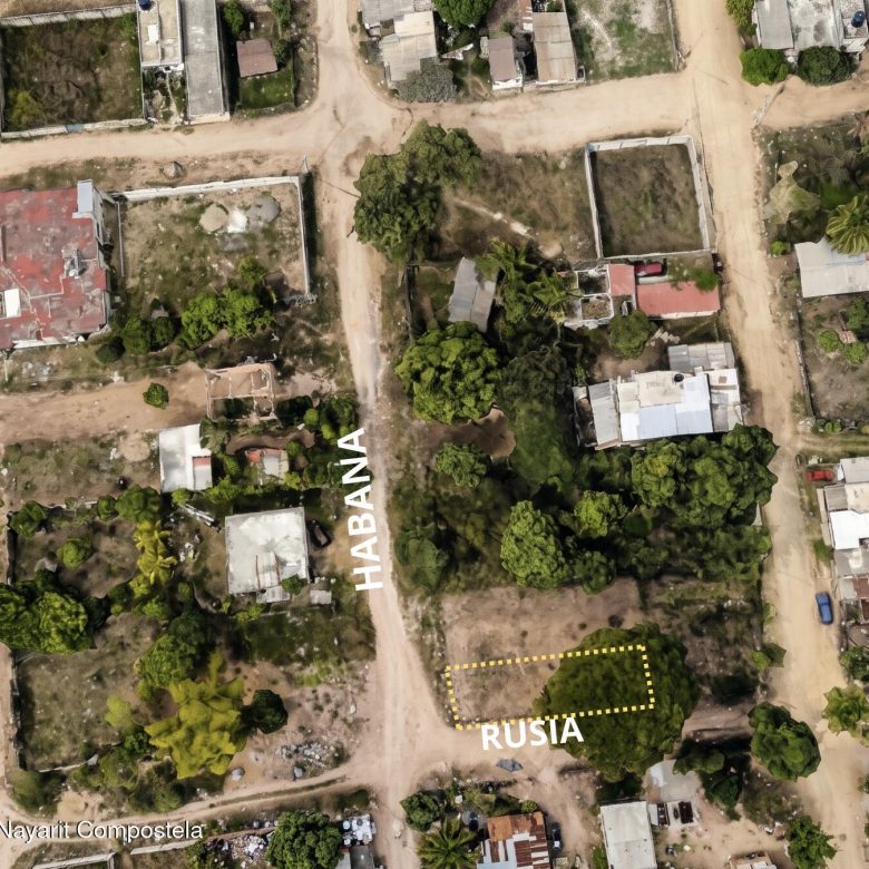780