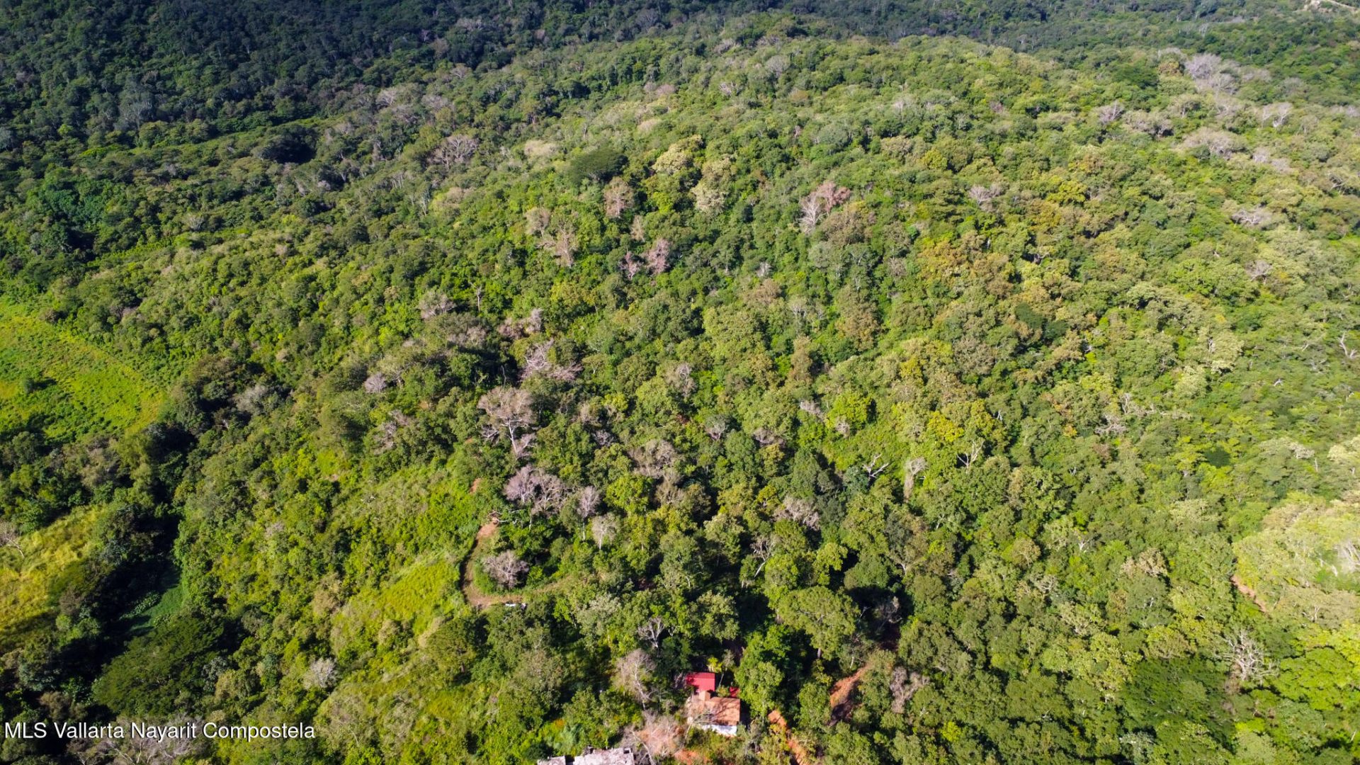 DCIM100MEDIADJI_0293.JPG